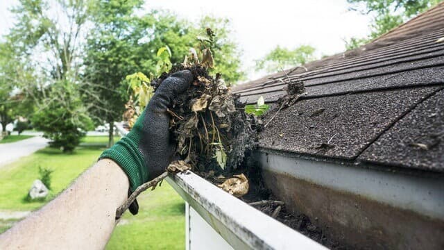 Gutter Cleaning